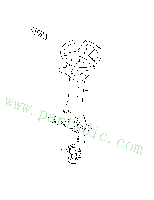DX140W TIER-III  Bolt Socket S2212066 #3(10*25.00*1.50)